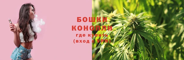 сатива Семилуки