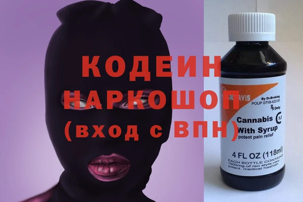 молекула духа Семёнов