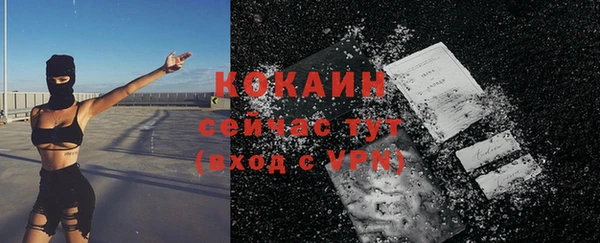 молекула духа Семёнов