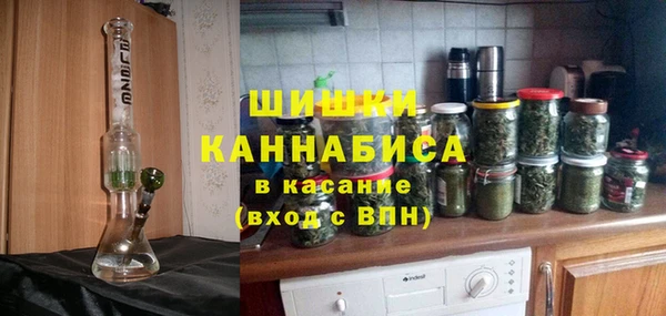 сатива Семилуки