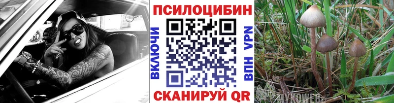 Купить закладки  Зерноград  Псилоцибиновые грибы мухоморы 