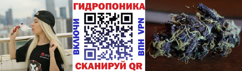 МАРИХУАНА сатива  Купить  Зерноград 